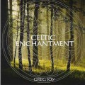D Greg Joy - Celtic Enchantment / World music, Acoustic guitar, New Age, Celtic