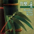 D Yang Chun-lin,Had Han - Bamboo In The Wimd / World music