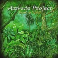 СD Aurveda Project - Soul Of Spirit / New Age, Ethno Ambient, Enigmatic