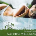 CD Stephan North - Natural Wellness (Натуральный Велнесс) / Meditative, Relax, SPA (Jewel Case)