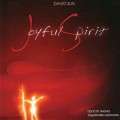 D David Sun - Joyful Spirit ( ) / New Age, Relax  (Jewel Case)