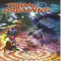 CD Various Artists – Tribal Dreaming / Tribal-Fusion, Chillout