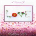 D Midori - A Promise of Love ( ) / New Age, Relax (Jewel Case)